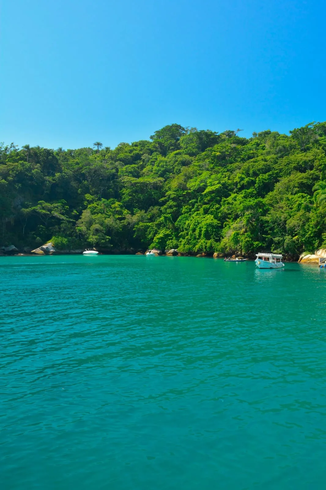 Enseada de água verde cercada de mata, com barcos ancorados