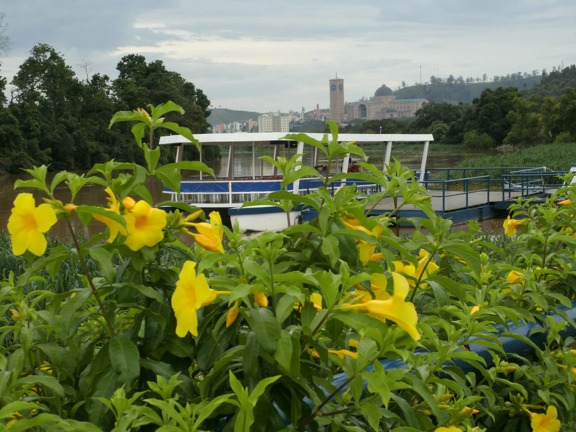 Flores no Porto Itaguaçu, às margens do rio Paraíba do Sul